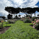 Il Roseto Comunale di Roma