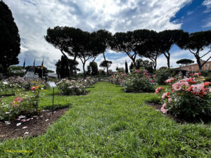 Il Roseto Comunale di Roma