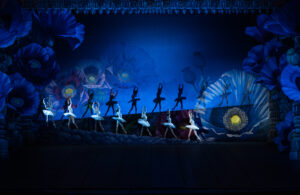 LA BAYADERE &ndash; TEATRO DELL&rsquo;OPERA &ndash; 3/8 febbraio